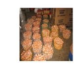 Farm Fresh Chicken Table Eggs Brown and White Shell Chicken Eggs in South Africa