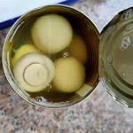 New Crop Canned Mushroom Whole ,Canned Mushroom PNS Canned Vegetable Canned Food