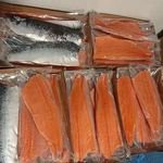 Frozen Salmon Fish From Norway