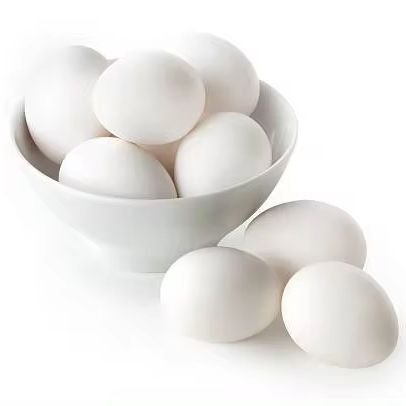 Fresh Brown and White Shell Chicken Eggs From South Africa +27739729209