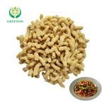 Bulk Purchase TVP Vegan Meat Low Fat Rich Fiber Food HALAL Soy Protein for Vegetarian KOSHER Textured Vegetable Protein