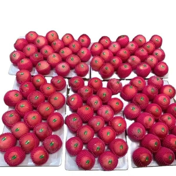 Factory Manufacturer Fresh Fruit Fuji apple for Sell Cheap Fuji apple