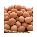 White Supplier of Fresh Protein Rich Farm Chicken Eggs White Shell Eggs Available Now Wholesale Supplier Fresh Chicken Eggs