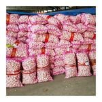 Wholesale Premium Quality New Fresh Vegetables Chinese 3p Pure White Garlic