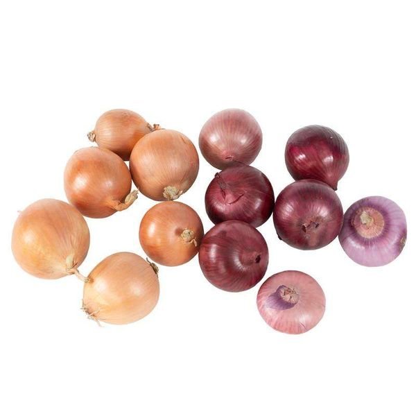 Premium Quality Organic Fresh Yellow Onions Red/White Onions Fresh Shallot Produce
