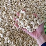 THE BEST SELLER FROM VIETNAM WHOLESALE CASHEW NUTS WW320 W240 LOWEST MS JANNIE 0963766939