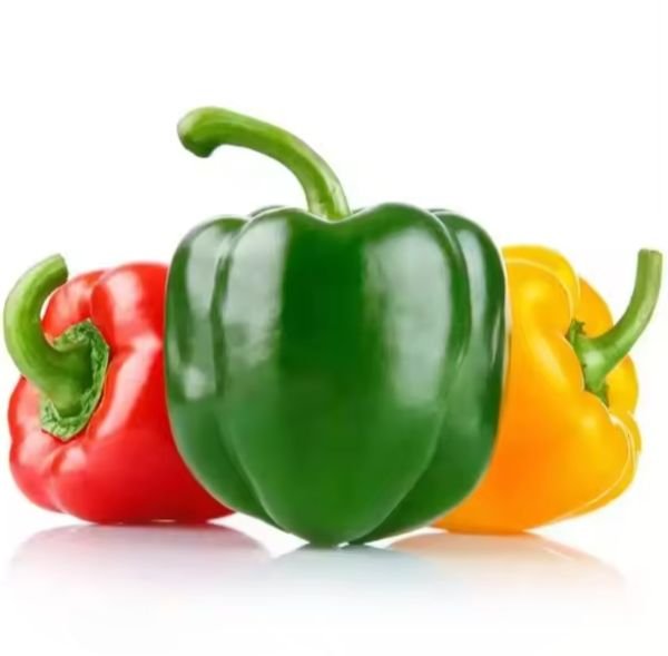 Fresh Vegetable Capsicum Pepper Yellow Red Green with Sweet Bell Color Colorful Freshness Direct from the Garden