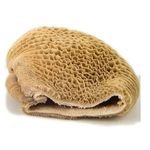 Proper Prices High Quality HALAL Frozen Beef Omasum Bulk Salted Beef and Dry Omasum for Sale High End Frozen Beef Tripe