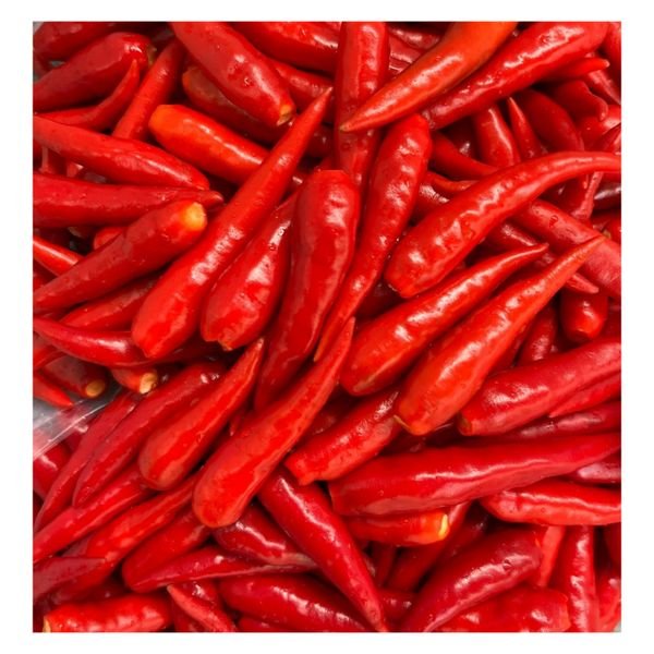 Fresh Chili Professional Team Fresh Vegetables Fresh Vegetable Spices Red Pepper Agricultural Made In Vietnamese Wholesale