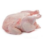 Best Price Frozen Halal Whole Chicken / Wholesale Supply Frozen Chicken / Buy Whole Frozen Halal Chicken