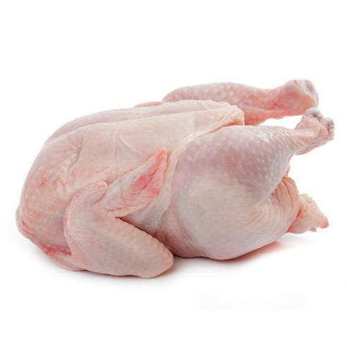 Best Price Frozen Halal Whole Chicken / Wholesale Supply Frozen Chicken / Buy Whole Frozen Halal Chicken