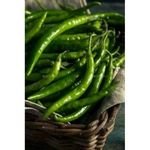 Fresh Quality Green Chilli Premium Fresh Vegetables