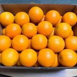Fresh Citrus Fruit Export Orange Fruit Fresh Valencia Oranges Fresh