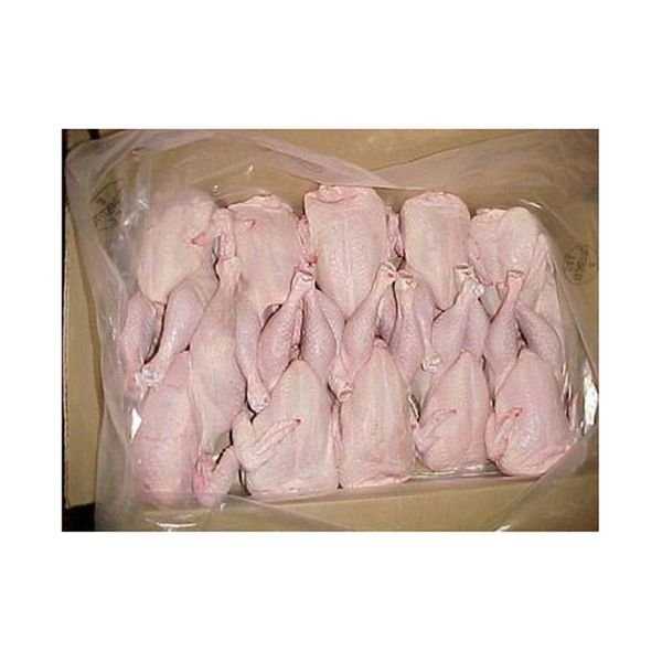 Wholesale Best Selling Chickens Frozen Halal Frozen Whole Chicken Whole Chicken Frozen Bulk Sales