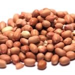 High Quality Organic Fresh Raw Ground Nuts Raw Peanuts in Shell in Bulk